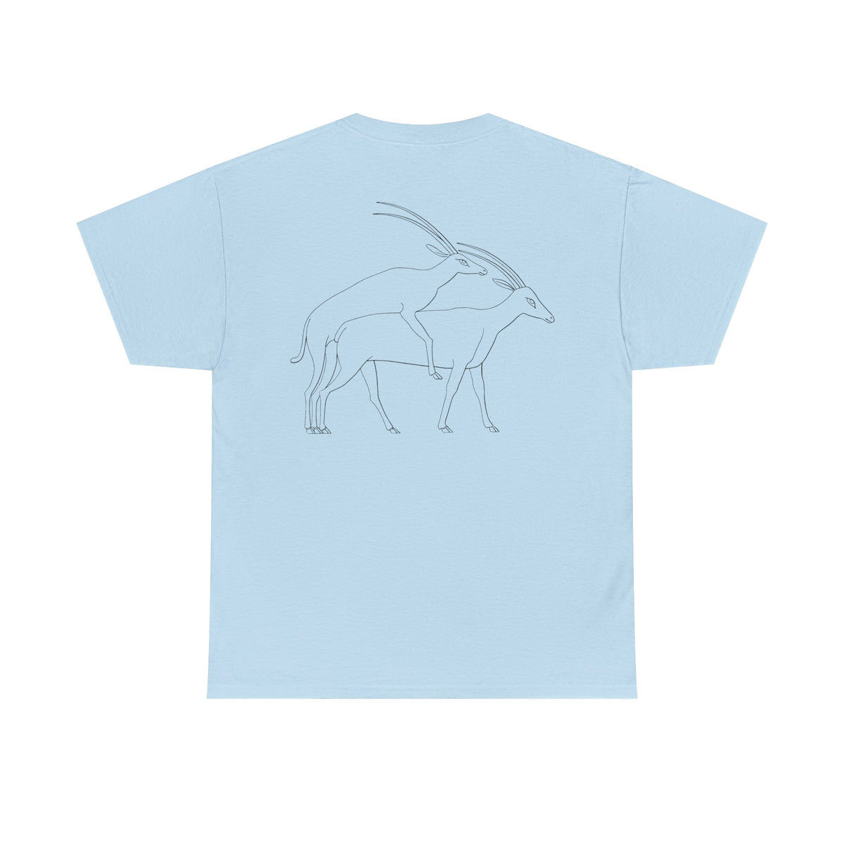 Gazelles - Assorted Colors