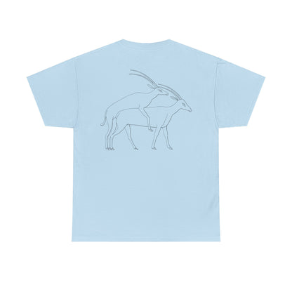 Gazelles - Assorted Colors